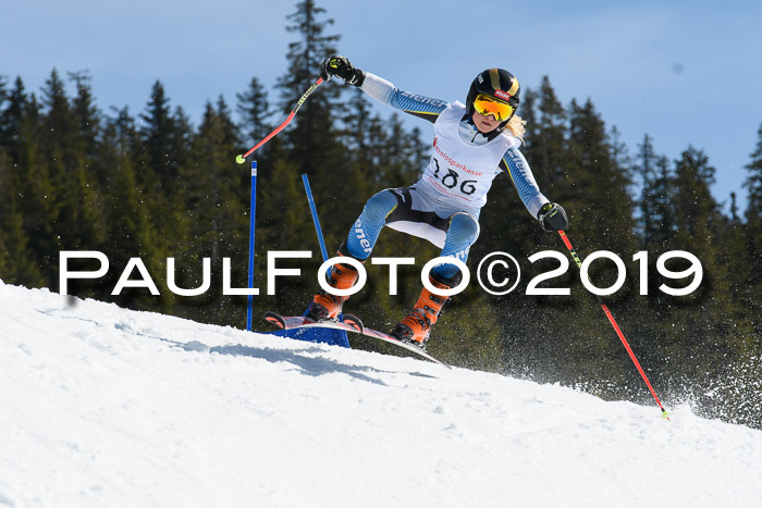 21. SVM Regionalcup-Finale 2019, Kinder, Schüler, Jugend, Erwachsene + Siegerehrungen, 18.03.2018