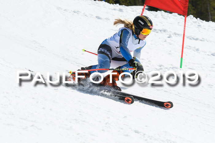 21. SVM Regionalcup-Finale 2019, Kinder, Schüler, Jugend, Erwachsene + Siegerehrungen, 18.03.2018