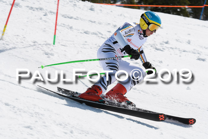 21. SVM Regionalcup-Finale 2019, Kinder, Schüler, Jugend, Erwachsene + Siegerehrungen, 18.03.2018