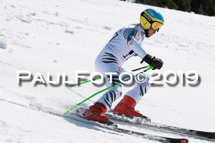 21. SVM Regionalcup-Finale 2019, Kinder, Schüler, Jugend, Erwachsene + Siegerehrungen, 18.03.2018