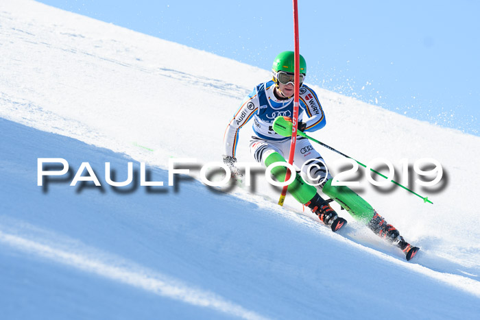 NC Slalom Herren Gudiberg 24.03.2019