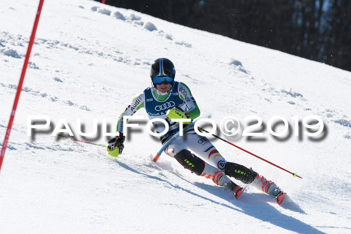 NC Slalom Herren Gudiberg 24.03.2019