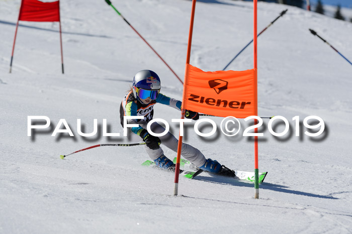 Ziener Cup WF,Finale, Quali + PSL, 30.03.2019