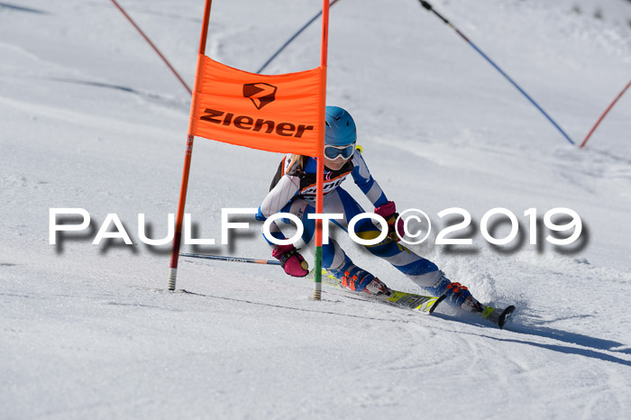 Ziener Cup WF,Finale, Quali + PSL, 30.03.2019