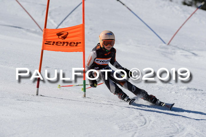 Ziener Cup WF,Finale, Quali + PSL, 30.03.2019