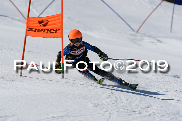 Ziener Cup WF,Finale, Quali + PSL, 30.03.2019