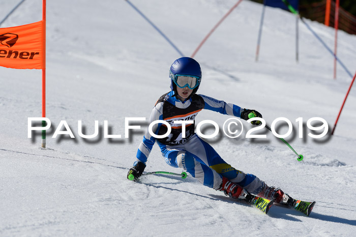 Ziener Cup WF,Finale, Quali + PSL, 30.03.2019