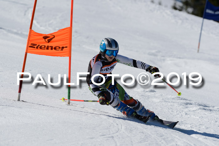 Ziener Cup WF,Finale, Quali + PSL, 30.03.2019