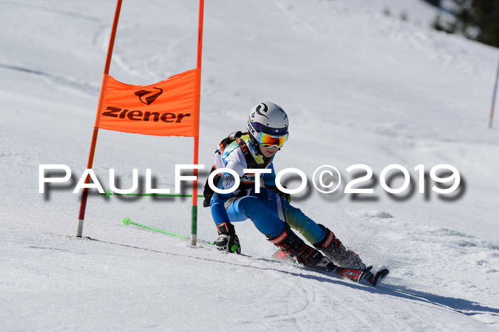 Ziener Cup WF,Finale, Quali + PSL, 30.03.2019