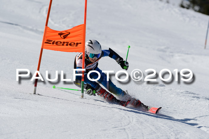 Ziener Cup WF,Finale, Quali + PSL, 30.03.2019