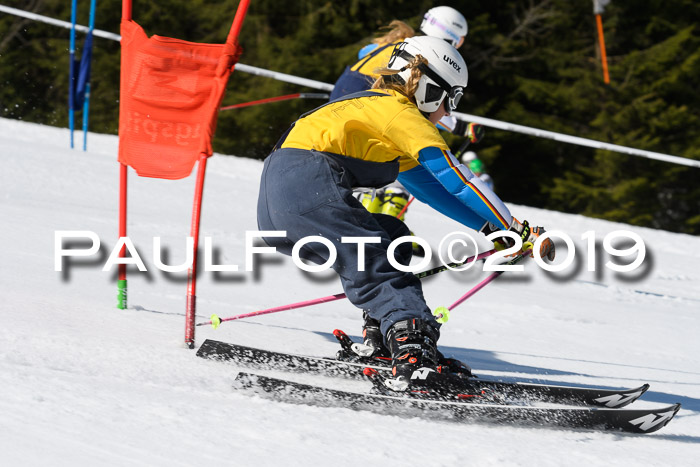 BZB Cup Finale, Quali + Parallelslalom, 31.03.2019