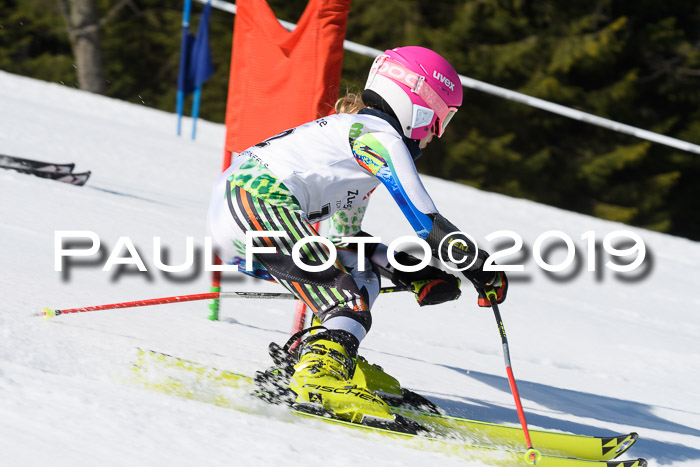 BZB Cup Finale, Quali + Parallelslalom, 31.03.2019