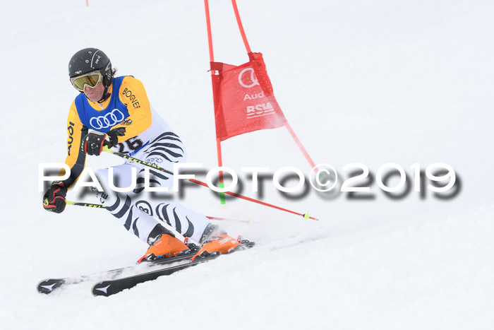 Ski Golf Masters 2019, Riesenslalom