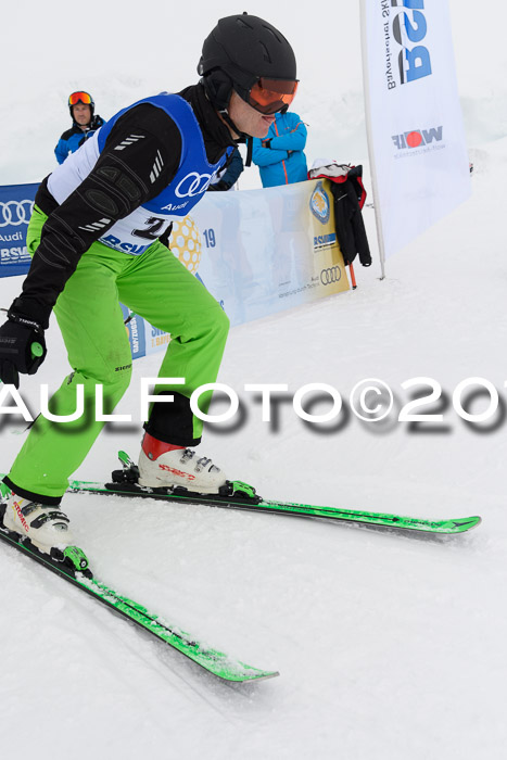 Ski Golf Masters 2019, Riesenslalom