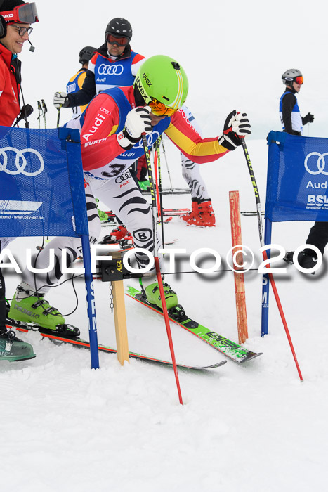 Ski Golf Masters 2019, Riesenslalom