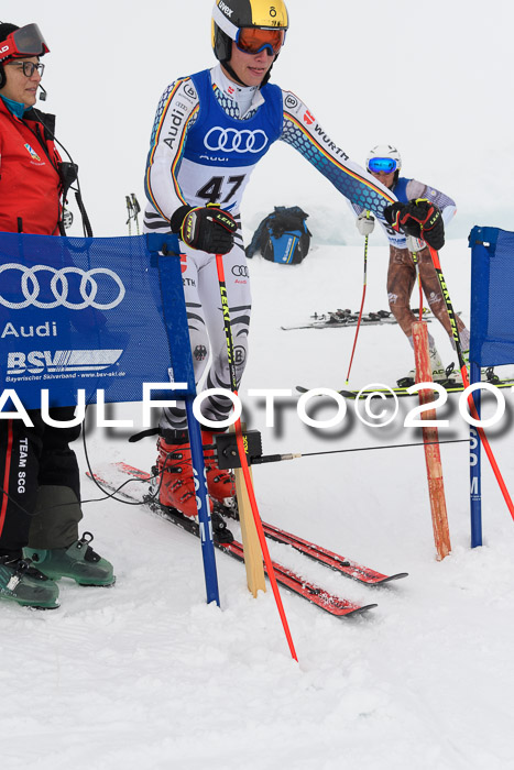 Ski Golf Masters 2019, Riesenslalom