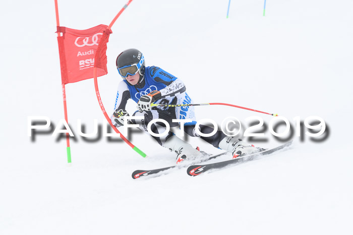 Ski Golf Masters 2019, Riesenslalom