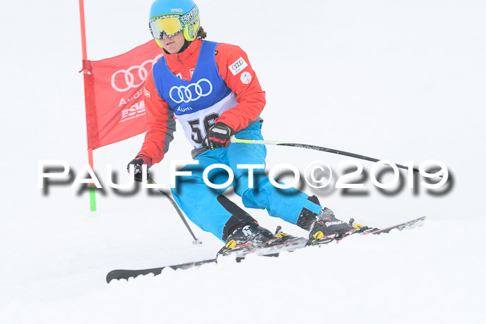 Ski Golf Masters 2019, Riesenslalom