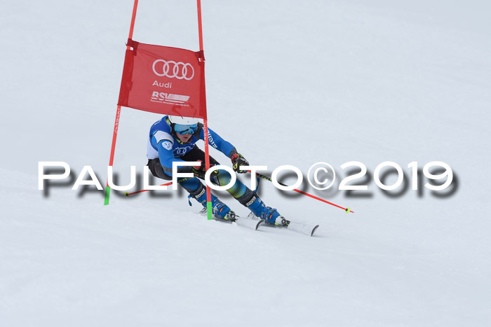 Ski Golf Masters 2019, Riesenslalom