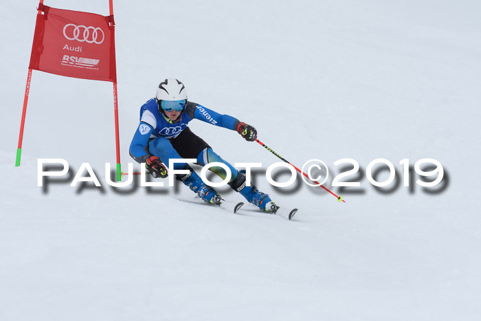 Ski Golf Masters 2019, Riesenslalom