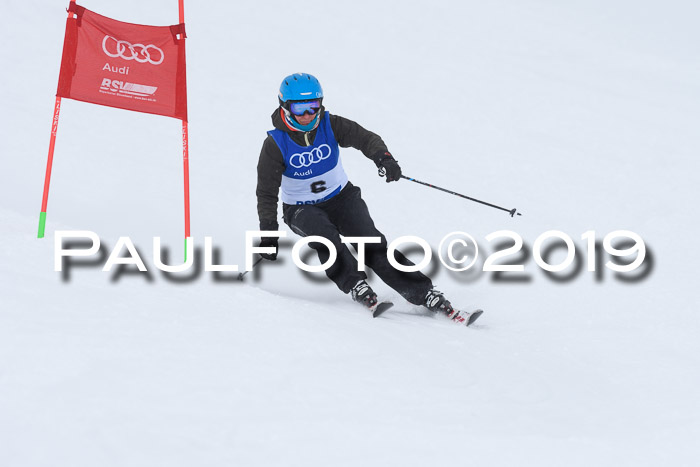 Ski Golf Masters 2019, Riesenslalom