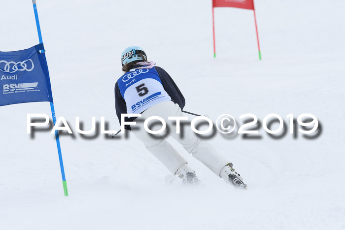 Ski Golf Masters 2019, Riesenslalom