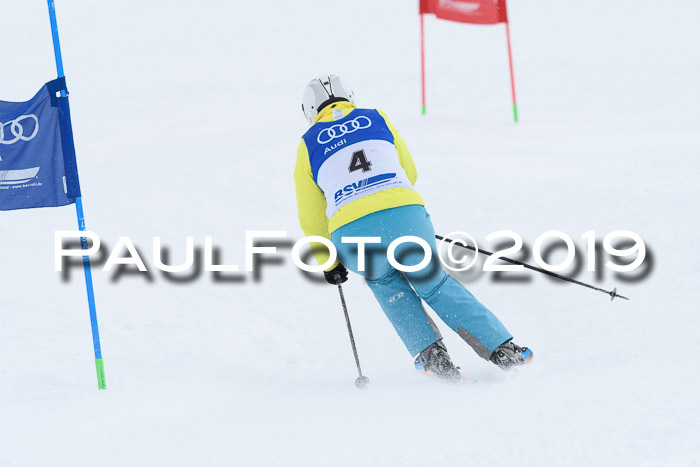 Ski Golf Masters 2019, Riesenslalom