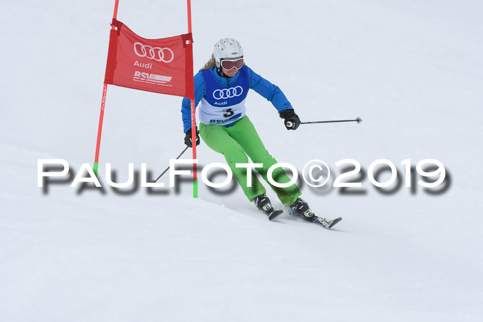 Ski Golf Masters 2019, Riesenslalom