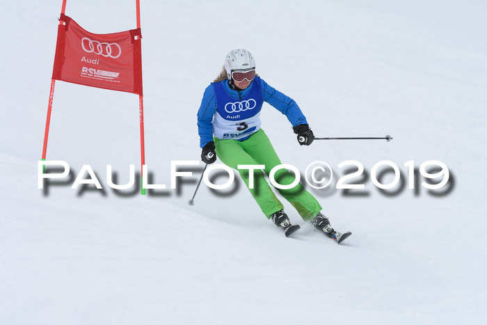 Ski Golf Masters 2019, Riesenslalom