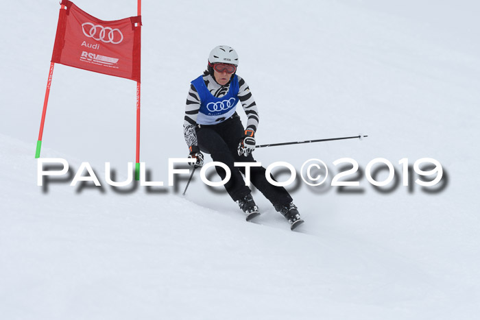 Ski Golf Masters 2019, Riesenslalom