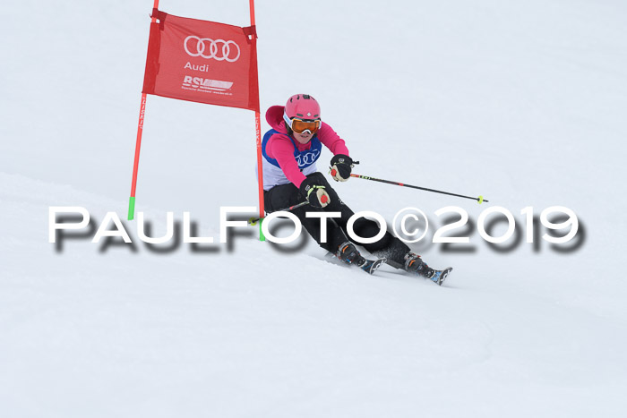 Ski Golf Masters 2019, Riesenslalom