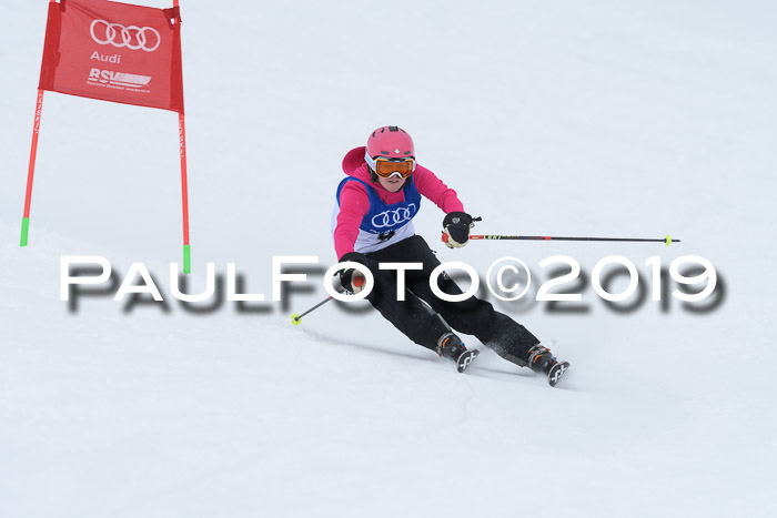 Ski Golf Masters 2019, Riesenslalom