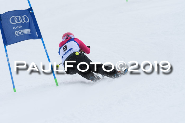 Ski Golf Masters 2019, Riesenslalom