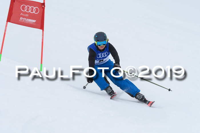 Ski Golf Masters 2019, Riesenslalom