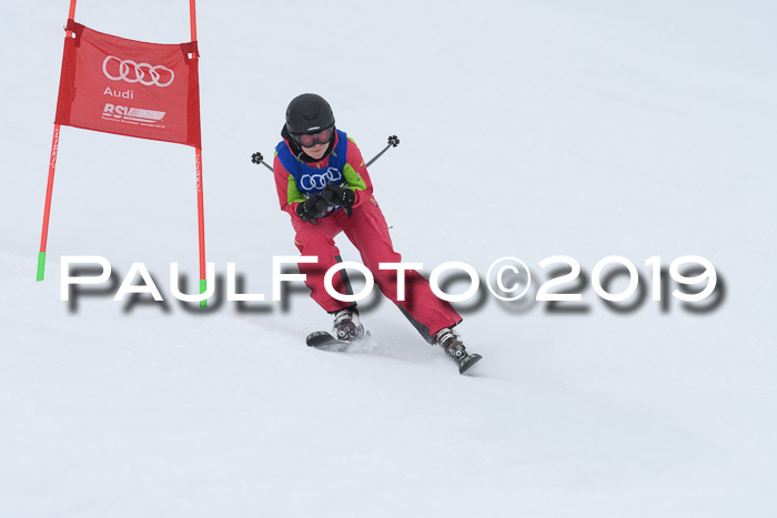 Ski Golf Masters 2019, Riesenslalom