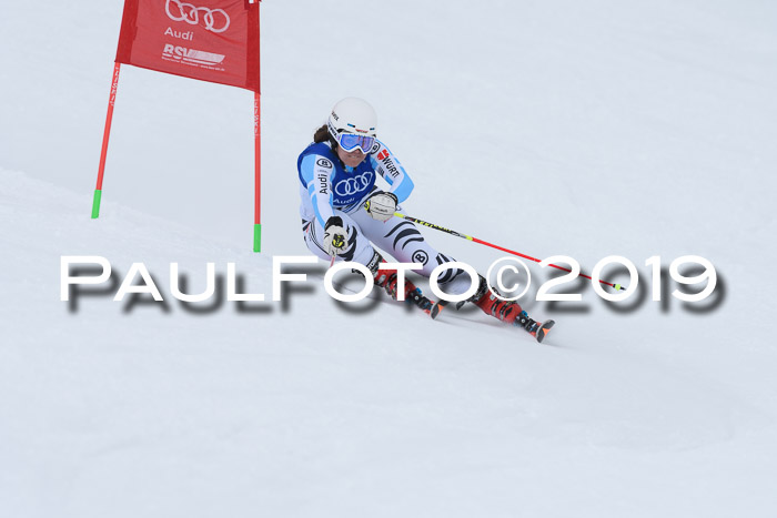 Ski Golf Masters 2019, Riesenslalom