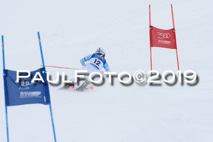 Ski Golf Masters 2019, Riesenslalom