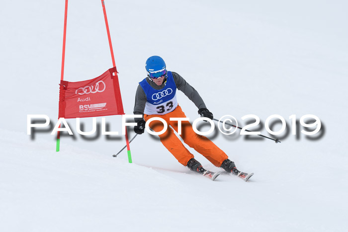 Ski Golf Masters 2019, Riesenslalom