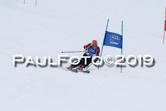 Ski Golf Masters 2019, Riesenslalom