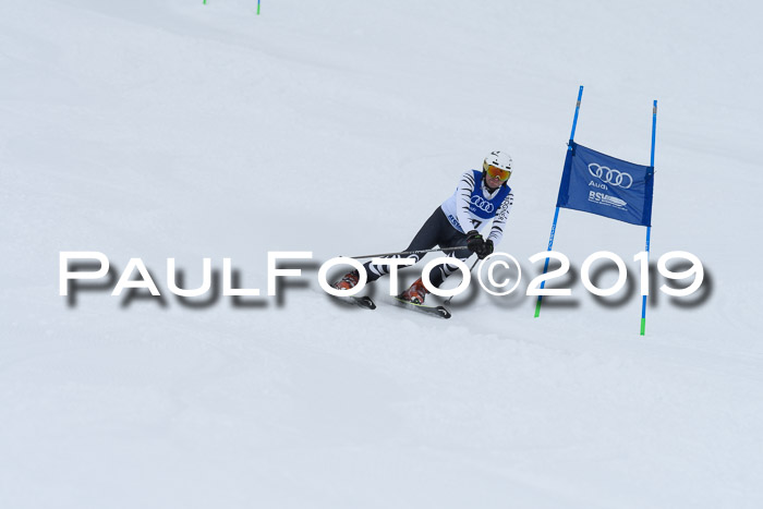 Ski Golf Masters 2019, Riesenslalom