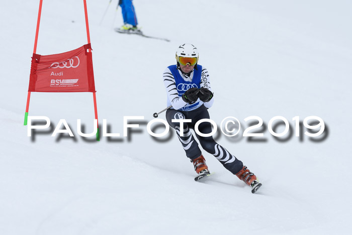 Ski Golf Masters 2019, Riesenslalom