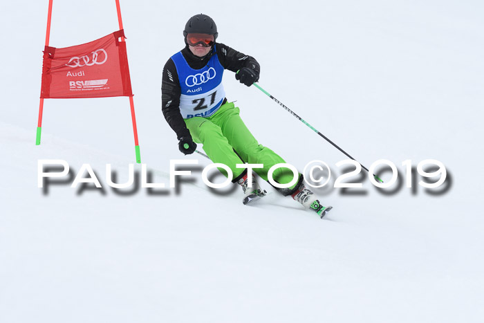 Ski Golf Masters 2019, Riesenslalom