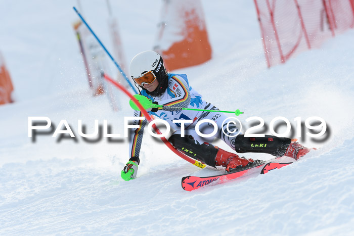 NJR Slalom Damen + Herren, Pass Thurn, 16.11.2019