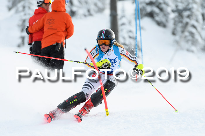 NJR Slalom Damen + Herren, Pass Thurn, 16.11.2019