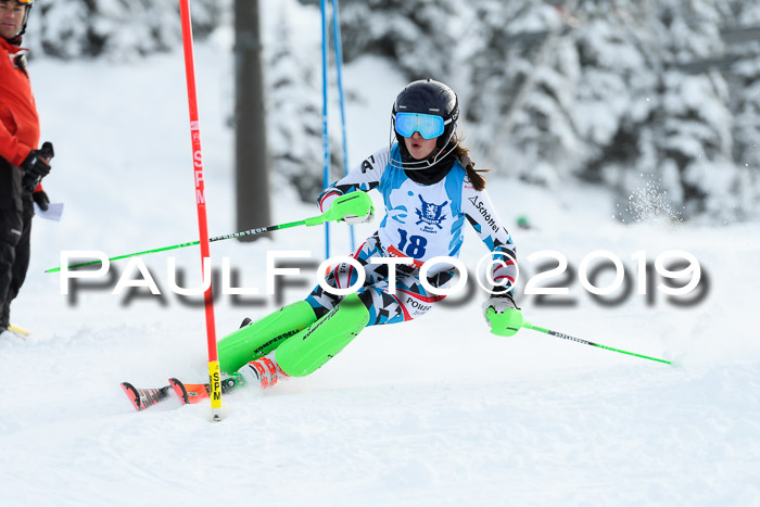 NJR Slalom Damen + Herren, Pass Thurn, 16.11.2019