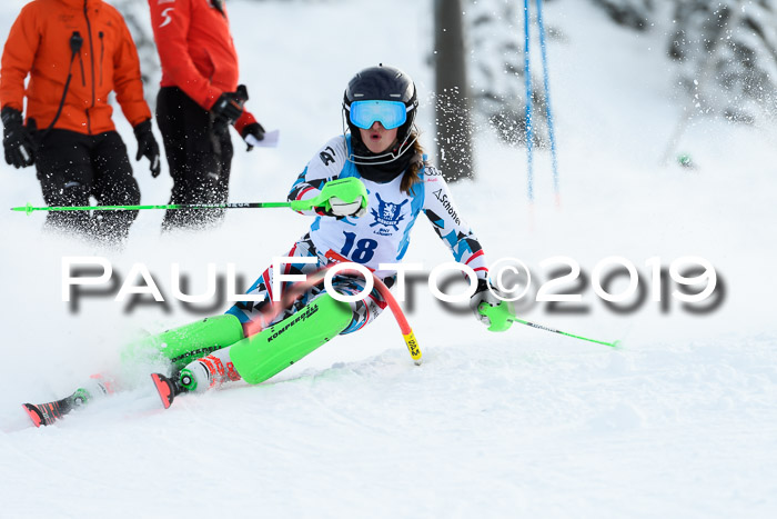 NJR Slalom Damen + Herren, Pass Thurn, 16.11.2019