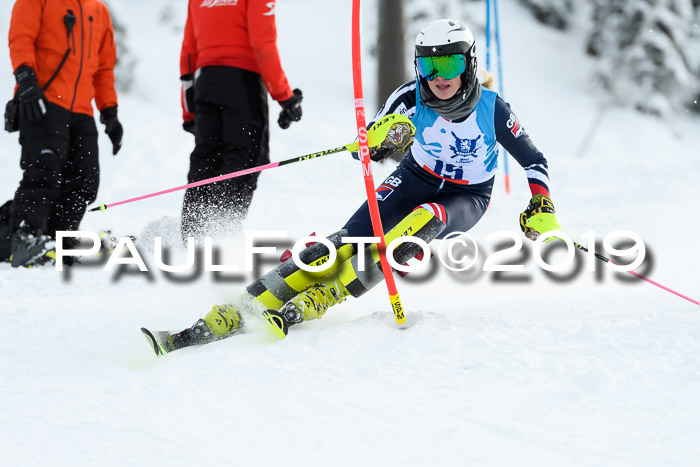 NJR Slalom Damen + Herren, Pass Thurn, 16.11.2019