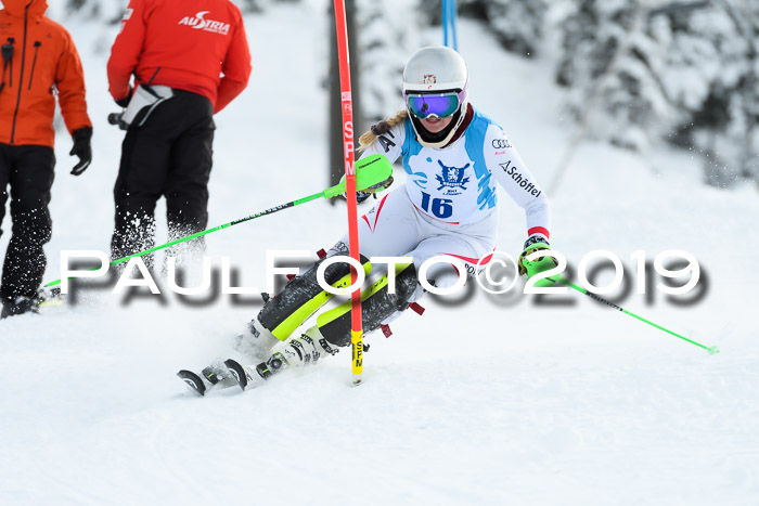 NJR Slalom Damen + Herren, Pass Thurn, 16.11.2019