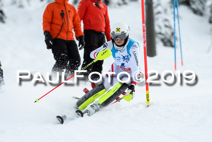 NJR Slalom Damen + Herren, Pass Thurn, 16.11.2019