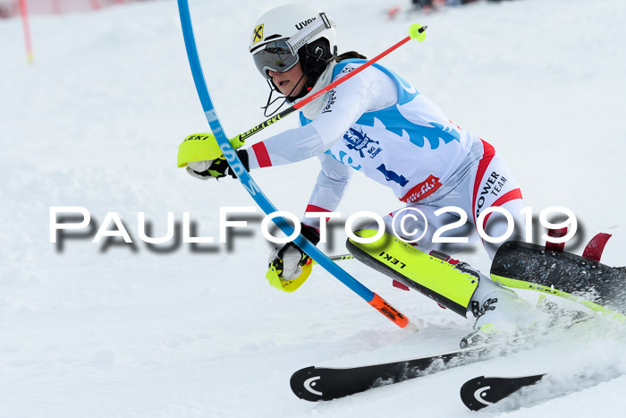 NJR Slalom Damen + Herren, Pass Thurn, 16.11.2019